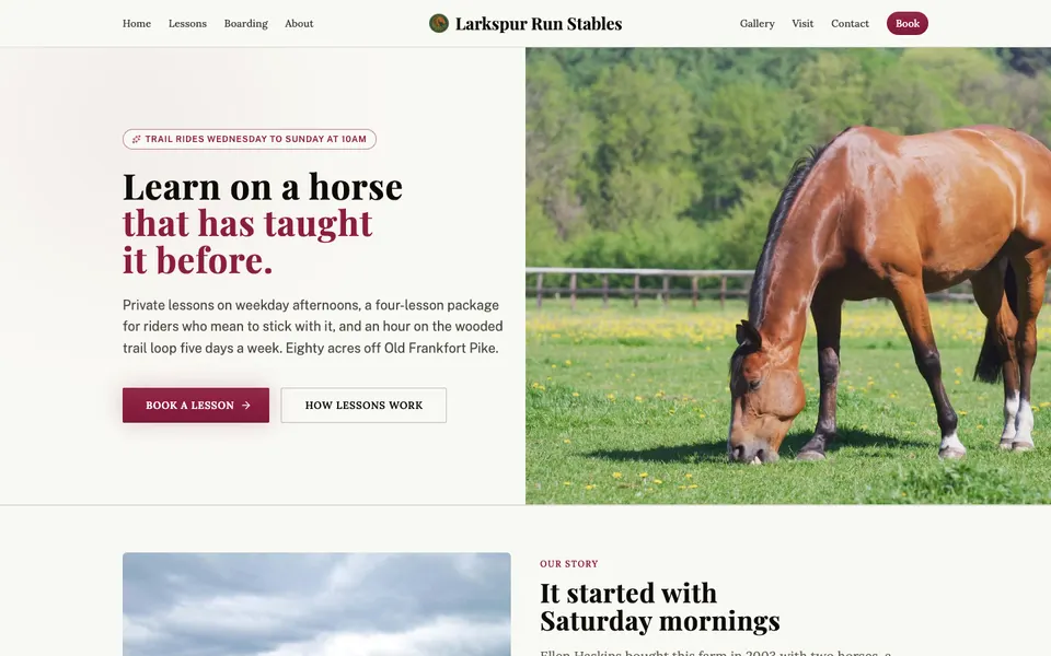 Home page of Larkspur Run Stables, a demo equestrian website