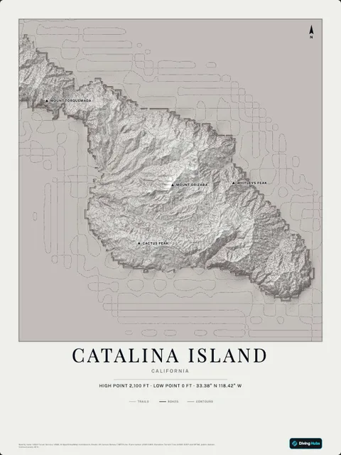A poster of Catalina Island, California, drawn over the terrain