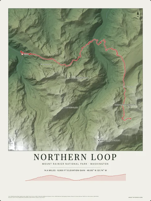 A forest poster of Northern Loop, Mount Rainier National Park · Washington
