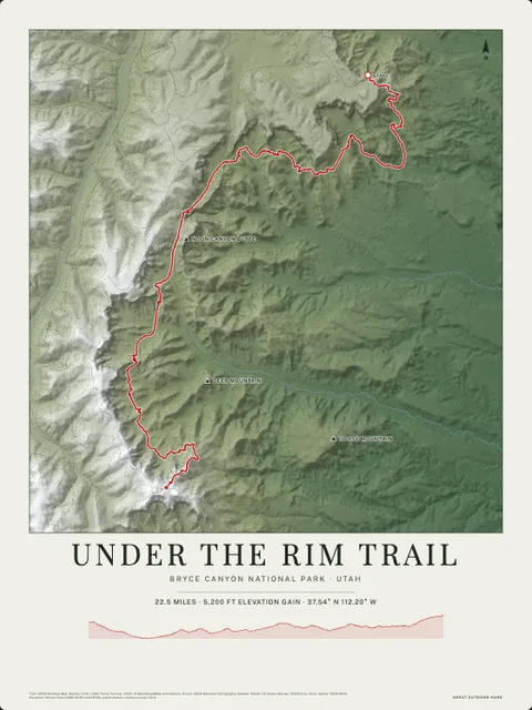 A forest poster of Under the Rim Trail, Bryce Canyon National Park · Utah